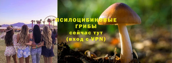 соль курить ск Кукмор