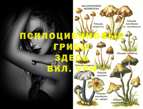 твердый Алексеевка