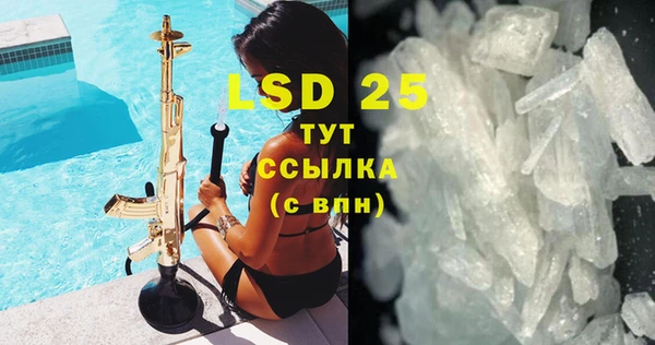 индика Лабытнанги