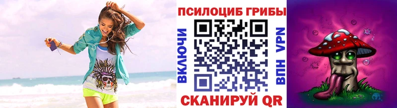 Псилоцибиновые грибы мицелий  Новоузенск 